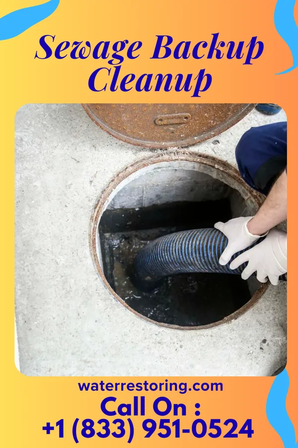 Sewage Backup Cleanup in Jackson, OH