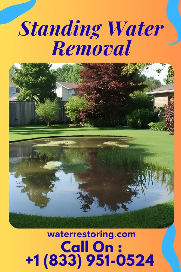 Standing Water Removal in Jackson, OH